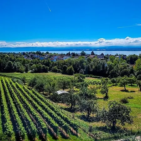 Nr 7, Meersburg, Bodensee ميرسبرغ